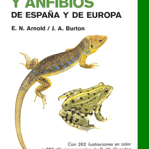 Guía de campo de los reptiles y anfibios de España y Europa - E. N. Arnold y J. A. Burton