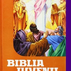 Biblia Juvenil 1 tomo Mod. 1 – Mary Theola